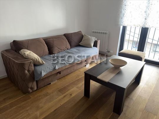 Centar - Lion #67904