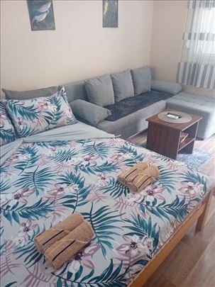 Izdajem apartman u centru Igala 