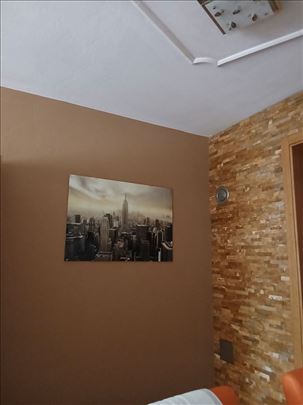 Moler, fasader, adaptacija stanova i kuća.