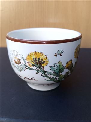 Lux Šolja Villeroy Boch Botanica