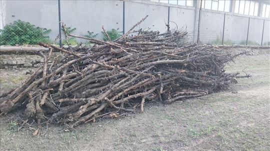 Ogrevno drvo (jabuka)