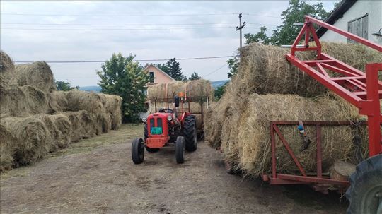 livadsko seno oko 250 bala cena sa utovarom