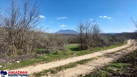 Boljevac, Rtanj - Krivi vir 1ha 36ari 14kvm
