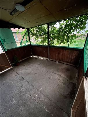 Čuvam pse (Kragujevac) 600 din po danu