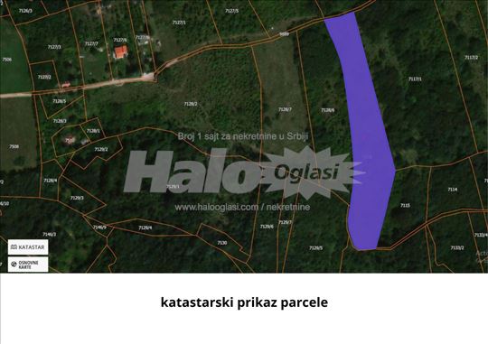 Hitna prodaja – plac 66 ARI (6666 m²) | Ripanj