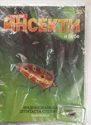 Kolekcija Pravi Insekti i Bube broj 53