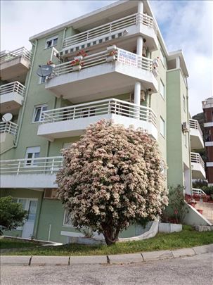 M-Apartmani, Petrovac na moru 