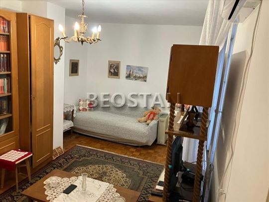 Centar - Lion #67954