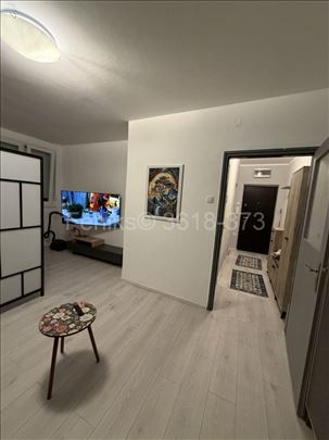 Izdavanje stana, Dorćol