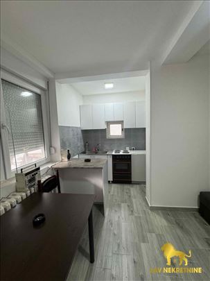 Novi Sad, Telep, Stan, 0.5, 26,00m2