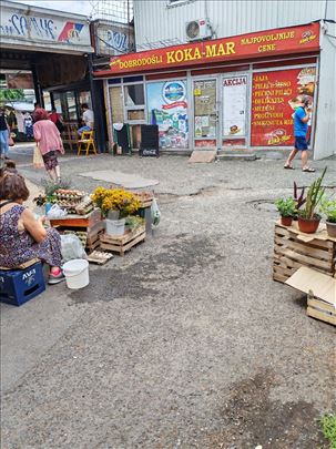 Pekara market mesara kuhinja hemija zdrava 