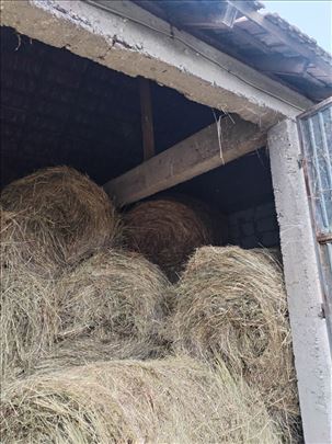 Seno livadsko nije kislo oko 250 rolni 120*120 