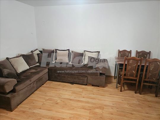 Zemun, Branka Plecasa