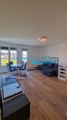 Zemun ID#42592