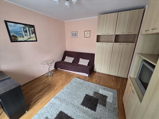 Banovo brdo,Brdovita,namešten stan ID#6106