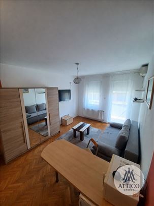Pet Friendly garsonjera za izdavanje – Centar, 29