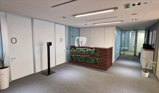 Reprezentativan Poslovni prostor A klase, 772m2