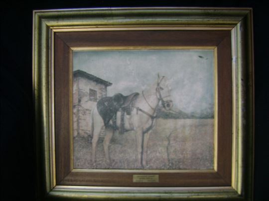 Dragan Malesevic Tapi Konj