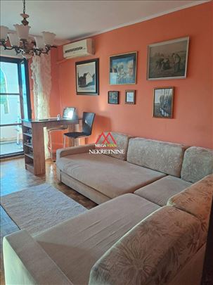 Prostran četvorosoban stan – Sajam - pet friendly