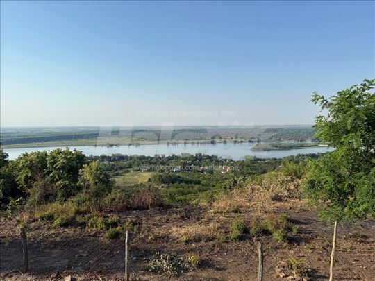 Prodaje se održavan voćnjak sa pogledom na Dunav