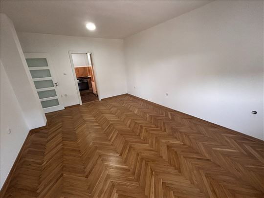 Jednoiposoban-kompletno renoviran !