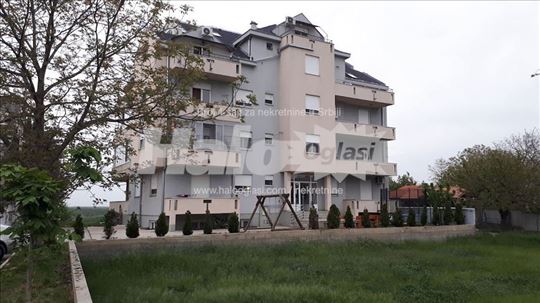 Zemun, Pregrevica, obala Dunava