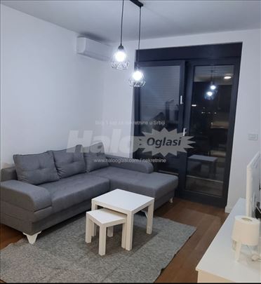 Izdavanje stana Novi Beograd