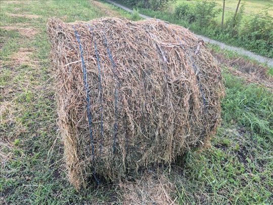 Rolo bale Lucerka