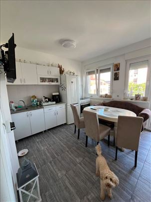 Strogi centar, renoviran