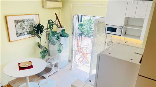 Vračar Centar, Njegoševa 66 m2 (duplex)