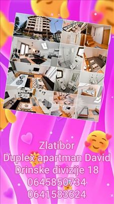 Duplex stan na Zlatiboru