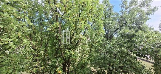 Prodaja kuće Vranić ID#1632