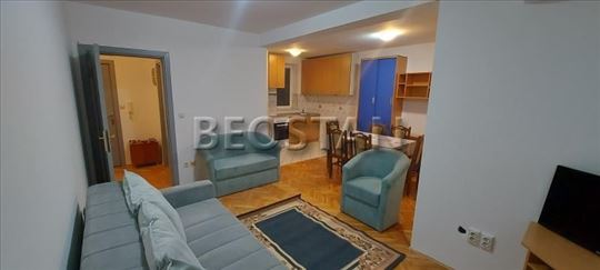 Centar - Lion #68096