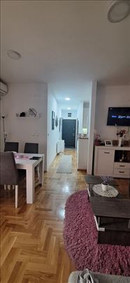 Nova Detelinara,dvoiposoban namešten stan,novija g