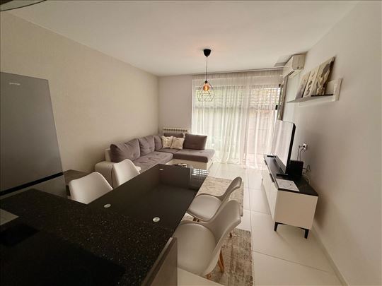 1.5 Todora Dukina Šumice LUX CG mesečno, useljiv