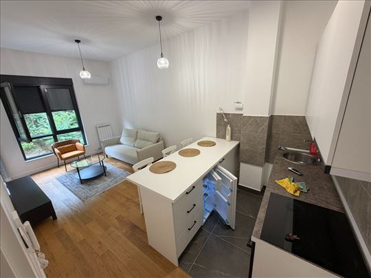 Novi Beograd, Novi Minel, 2.5; 60m2, T