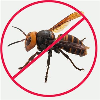 Rasterivač Anti Wasp Tri za 999 dinara