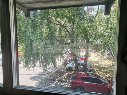 Stan Denkova Bašta, TC beo, Mis Irbijeve
