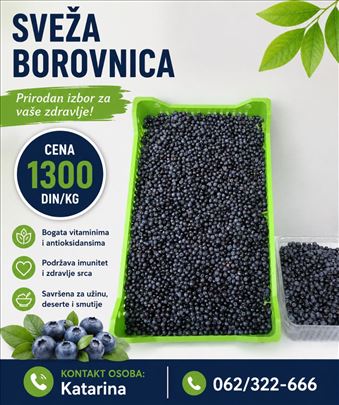 Šumska borovnica sa Kopaonika