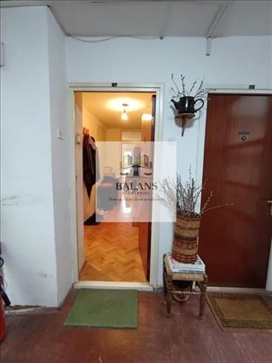 Arena-odlična investicija