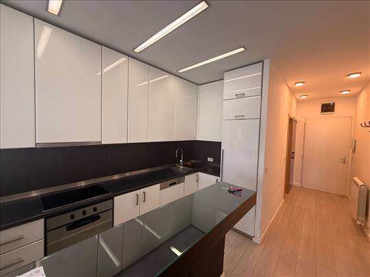 Dedinje, kod Jerry-ja, 71m2+60m2 dvoriste