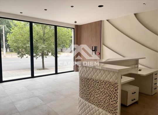 Izuzetan lokal/posl. prostor, Južni bulevar, 500m2