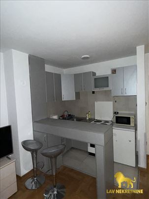 Novi Sad, Cara Dušana, Stan, 0.5, 28,00m2