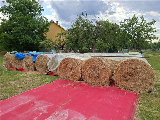 Na prodaju lucerka