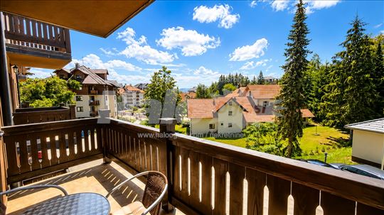 Zlatibor Jednoiposoban apartman sa SPA centrom