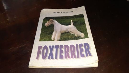 Foxterrier