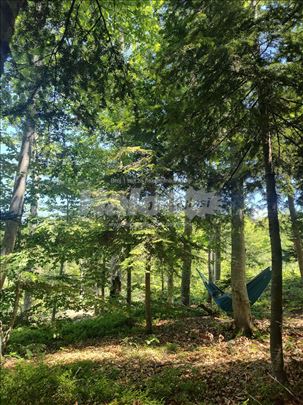 HITNA PRODAJA – Divčibare (Kraljev sto) – 6,11 ari