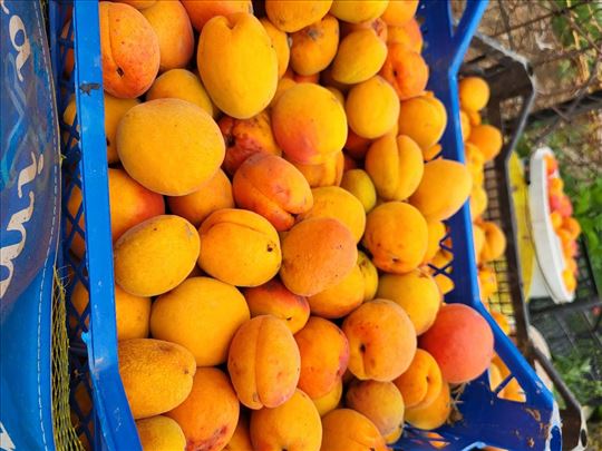 Kajsija Ruža - rakija