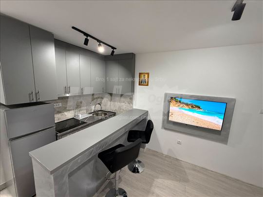 Moderna garsonjera 22m², kompletno renovirana 