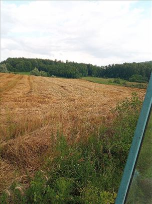 prodajem slamu zobi i pšenice